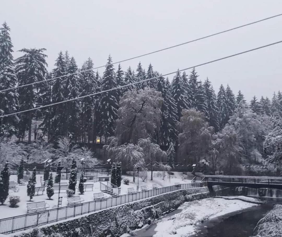 Vila Nicoleta Băile Olăneşti Εξωτερικό φωτογραφία