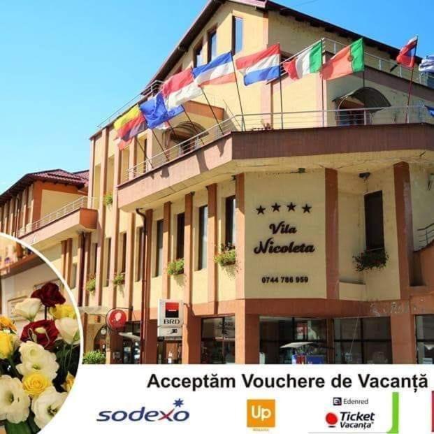 Vila Nicoleta Băile Olăneşti Εξωτερικό φωτογραφία