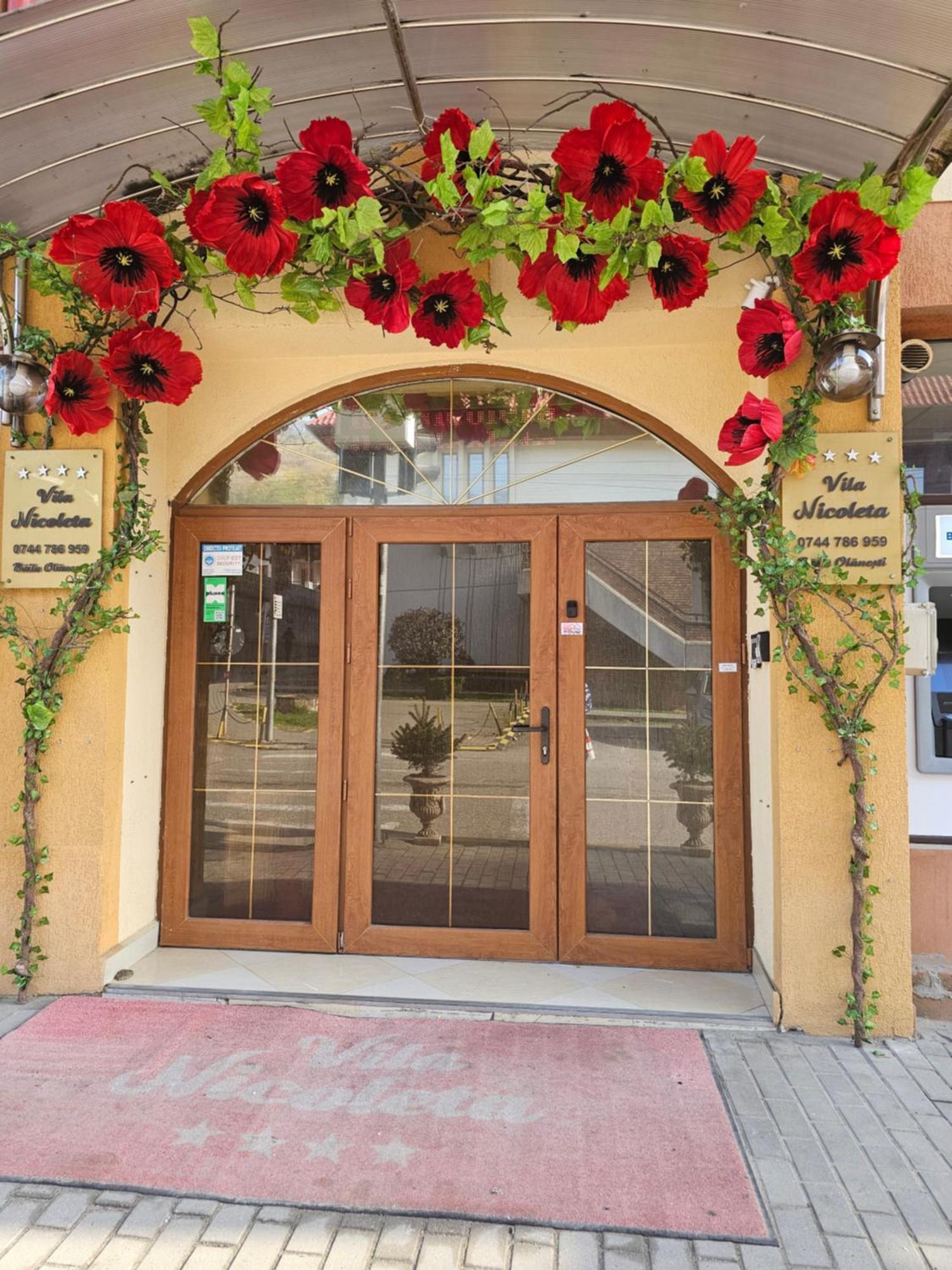 Vila Nicoleta Băile Olăneşti Εξωτερικό φωτογραφία