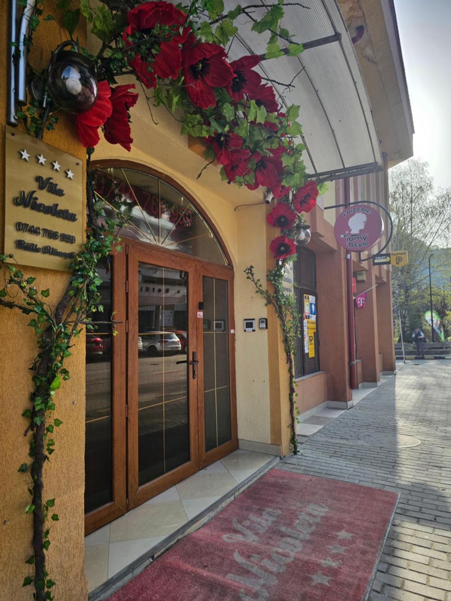 Vila Nicoleta Băile Olăneşti Εξωτερικό φωτογραφία