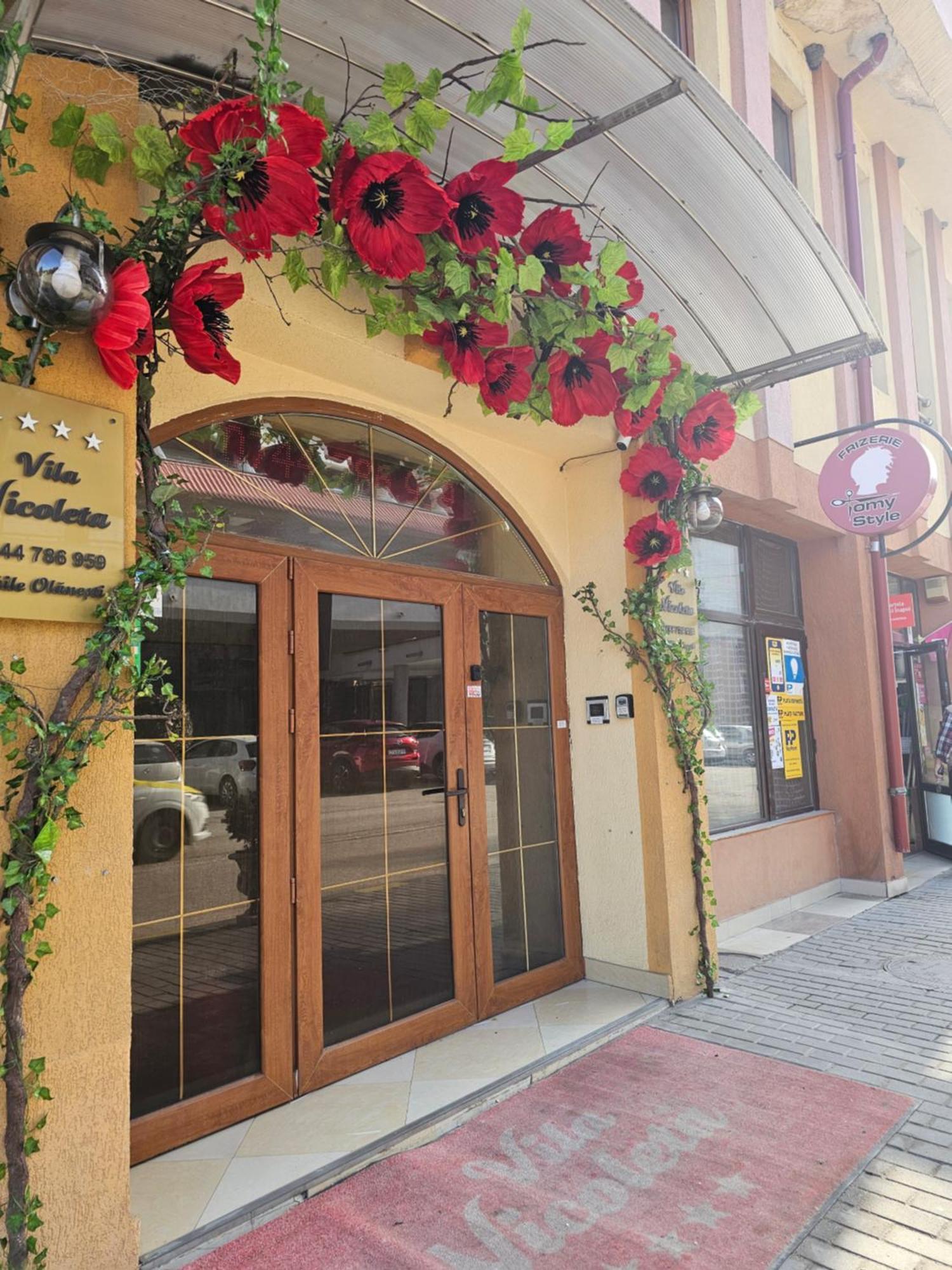 Vila Nicoleta Băile Olăneşti Εξωτερικό φωτογραφία