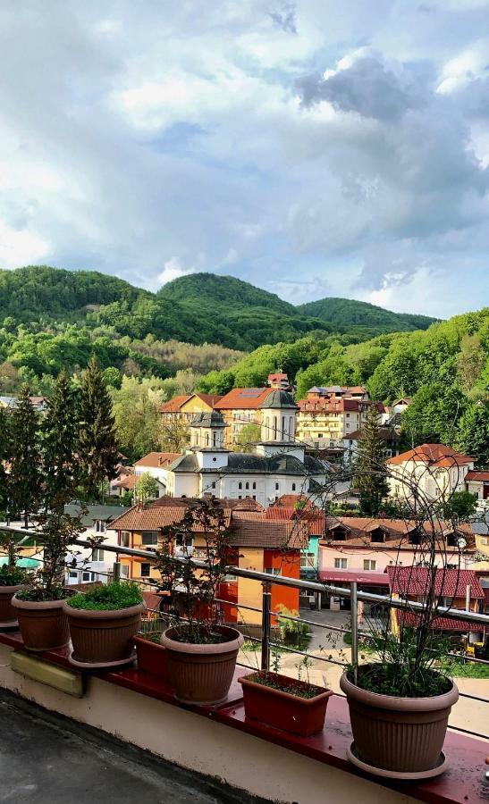 Vila Nicoleta Băile Olăneşti Εξωτερικό φωτογραφία